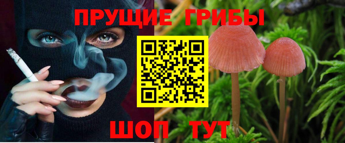 Псилоцибиновые грибы прущие грибы  Вход с VPN  Анжеро-Судженск 